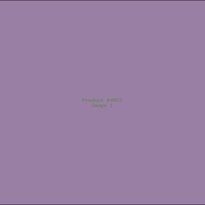 Example Product 4853