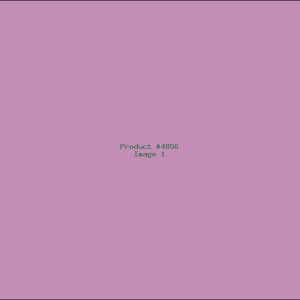 Example Product 4856
