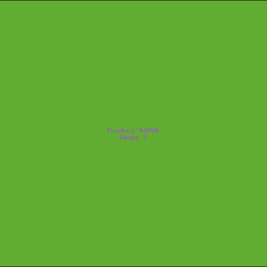 Example Product 4858