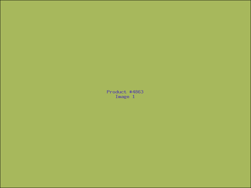 Example Product 4863