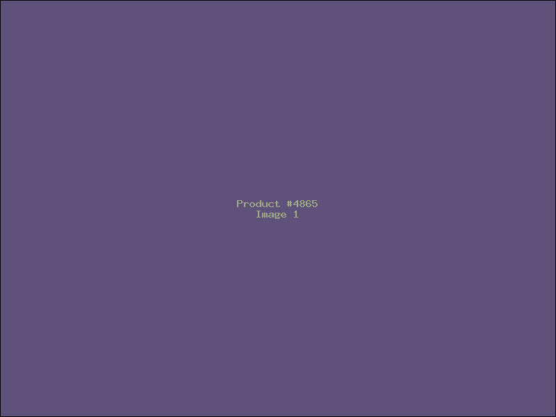 Example Product 4865