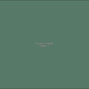 Example Product 4866