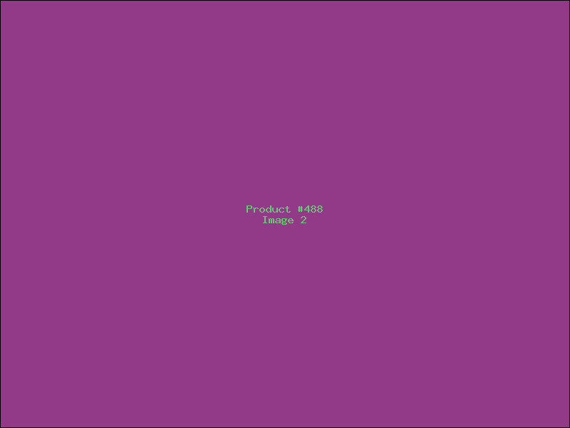 Example Product 488 - Image 2