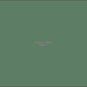 Example Product 4891