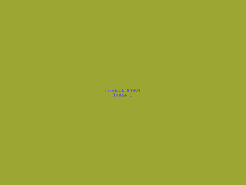 Example Product 4901