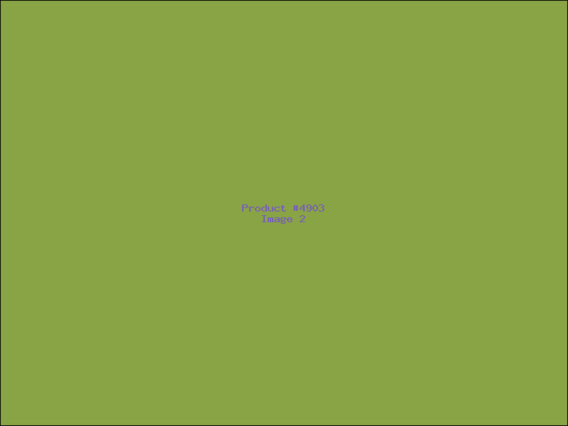 Example Product 4903 - Image 2