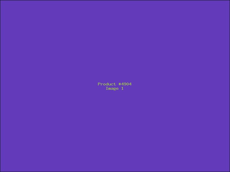 Example Product 4904
