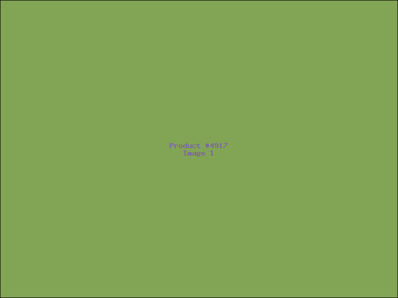 Example Product 4917