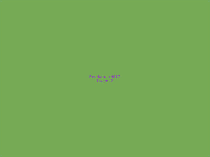 Example Product 4917 - Image 2