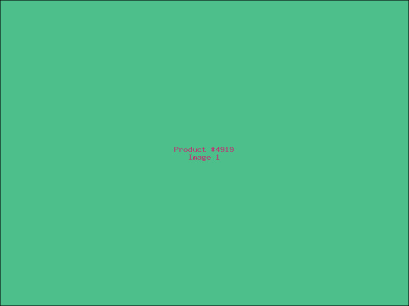 Example Product 4919