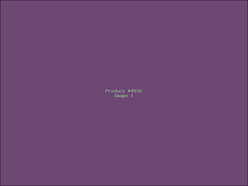 Example Product 4930