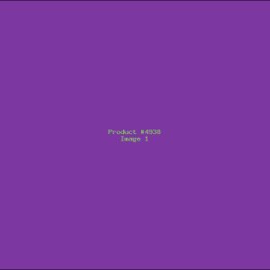Example Product 4938