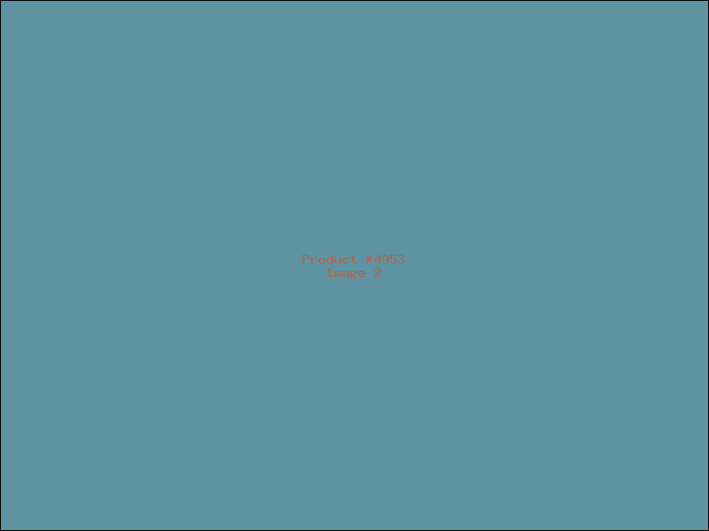 Example Product 4953 - Image 2