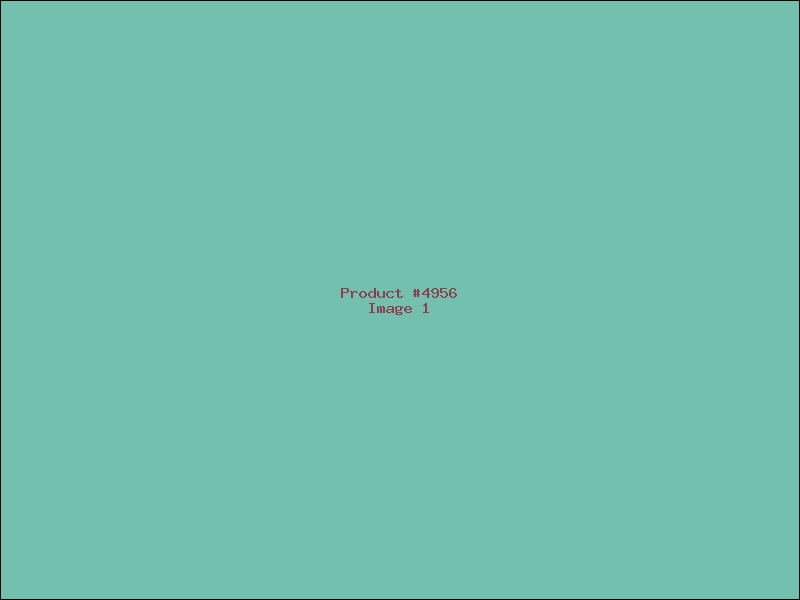 Example Product 4956