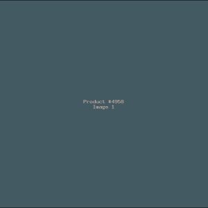 Example Product 4958
