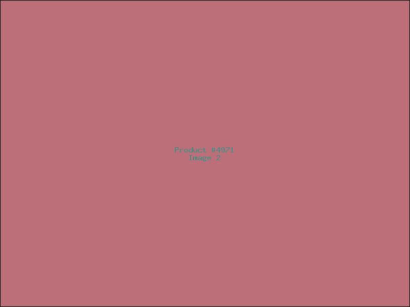 Example Product 4971 - Image 2