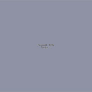 Example Product 498