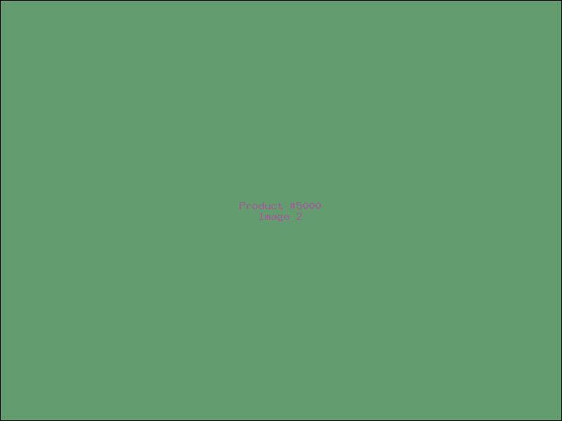 Example Product 5000 - Image 2
