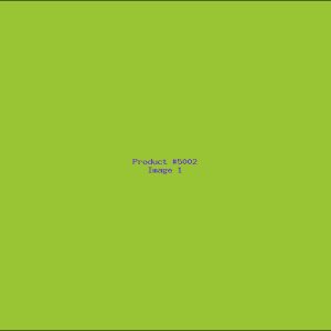 Example Product 5002