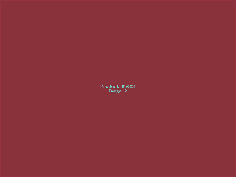 Example Product 5003 - Image 2