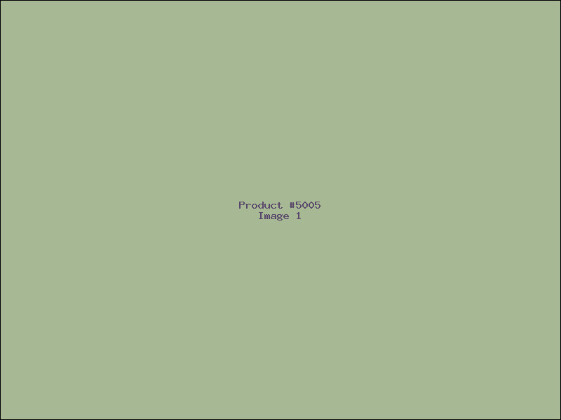 Example Product 5005