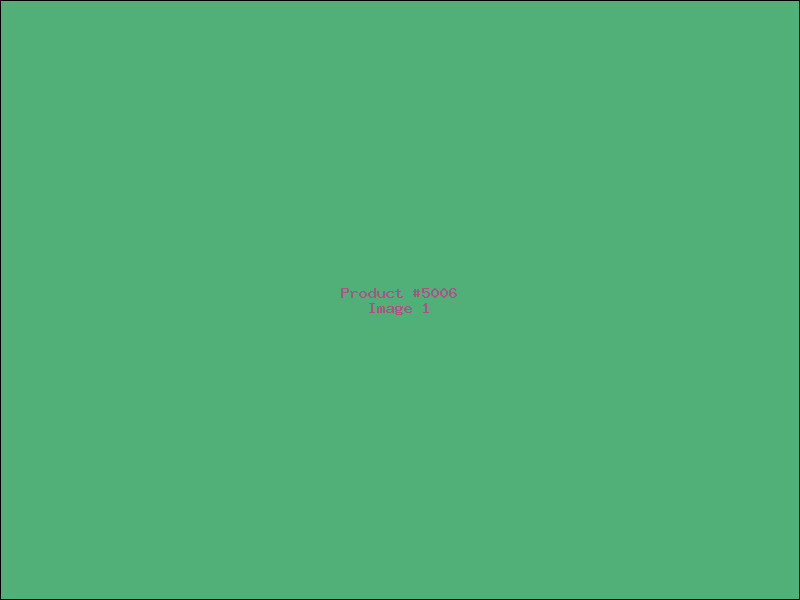 Example Product 5006