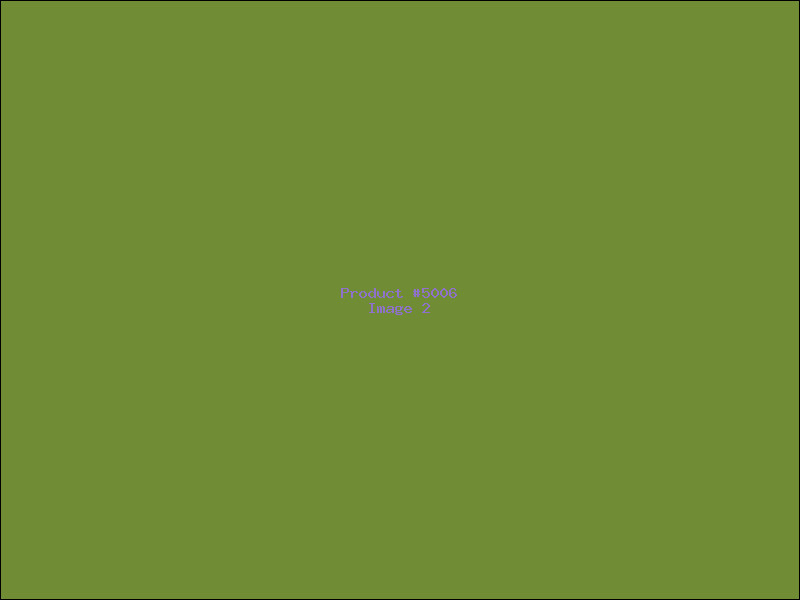 Example Product 5006 - Image 2