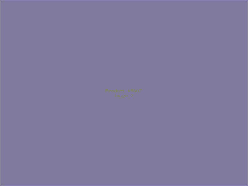 Example Product 5007 - Image 2