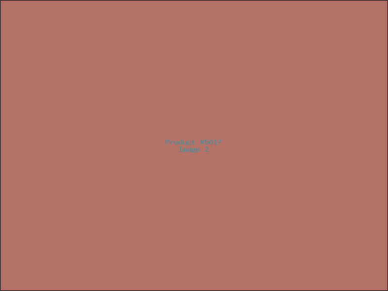 Example Product 5017 - Image 2