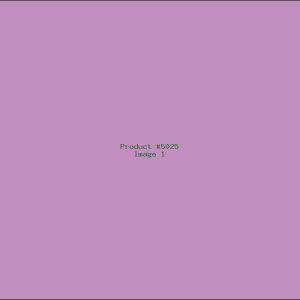 Example Product 5025