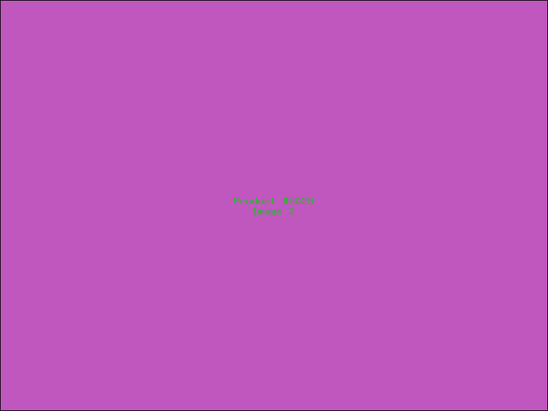 Example Product 5029 - Image 2