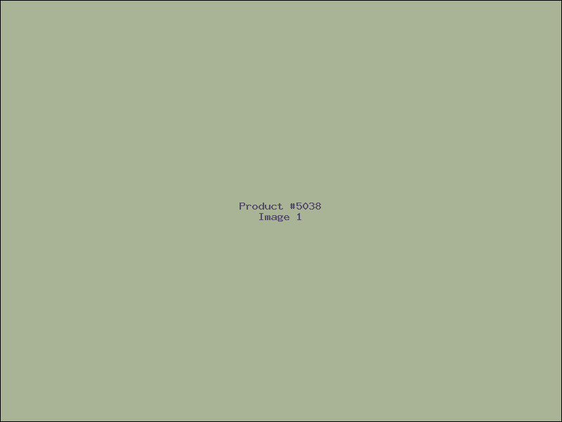 Example Product 5038
