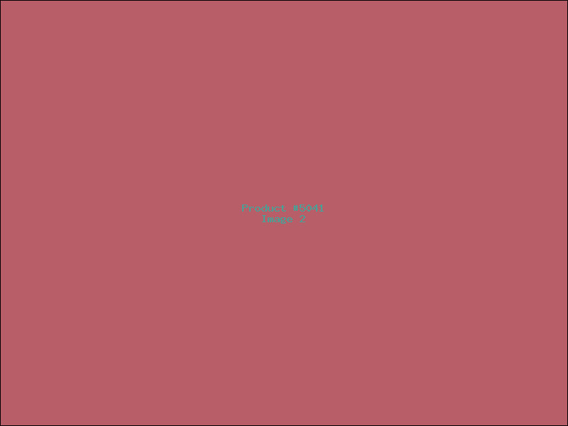 Example Product 5041 - Image 2