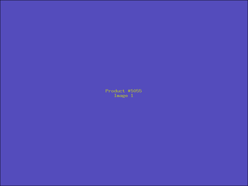 Example Product 5055