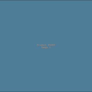 Example Product 5069