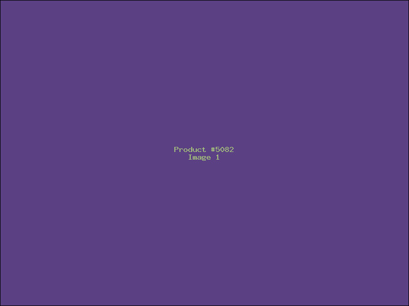 Example Product 5082