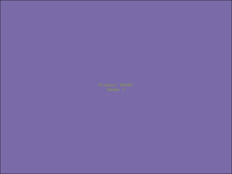 Example Product 5095
