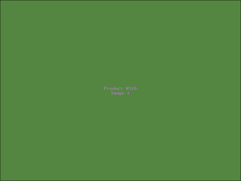 Example Product 510