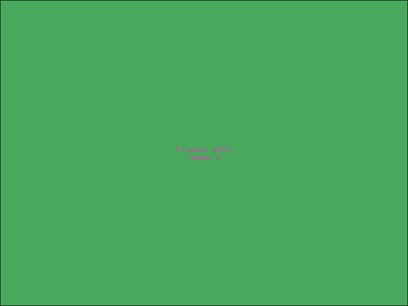 Example Product 511 - Image 2