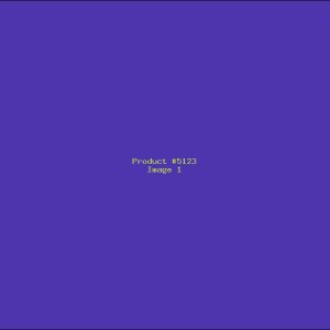 Example Product 5123