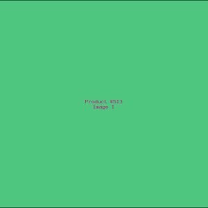 Example Product 513