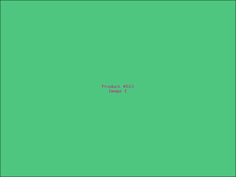 Example Product 513