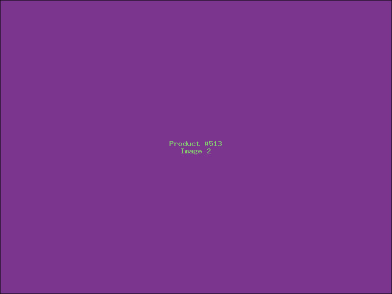 Example Product 513 - Image 2