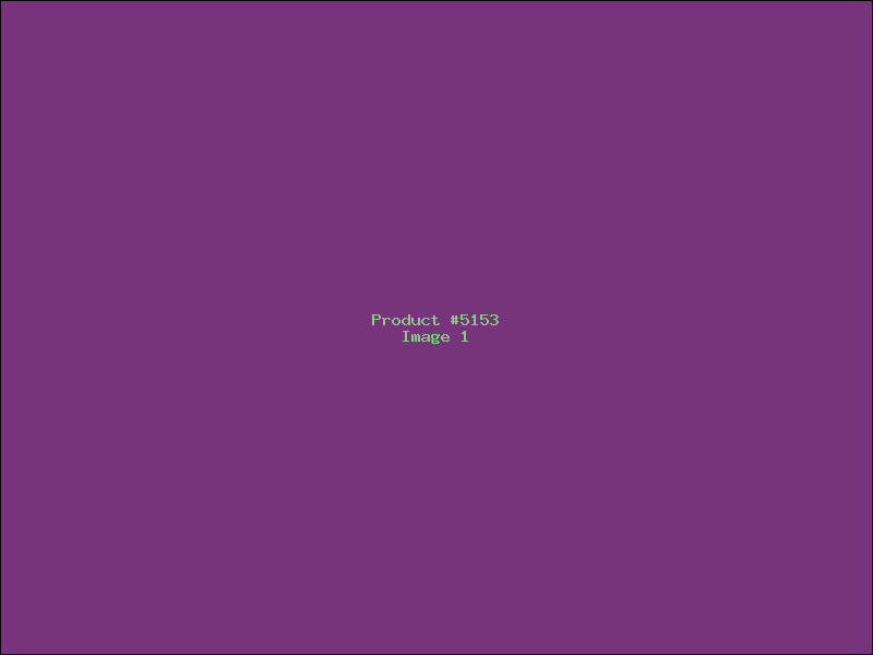 Example Product 5153