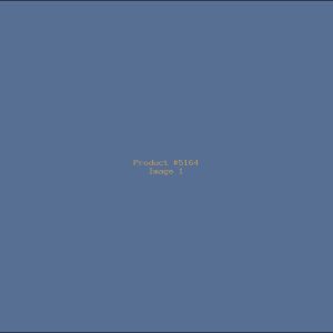 Example Product 5164