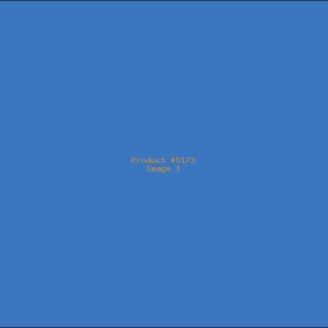 Example Product 5173