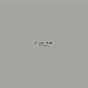 Example Product 5208