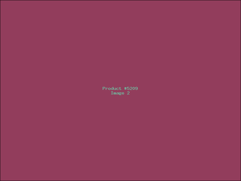 Example Product 5209 - Image 2
