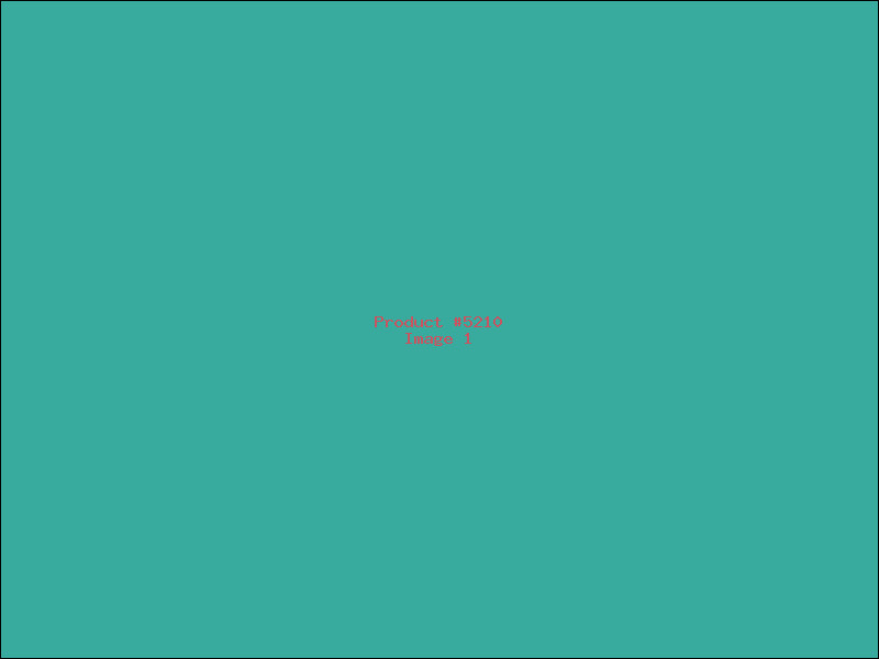 Example Product 5210