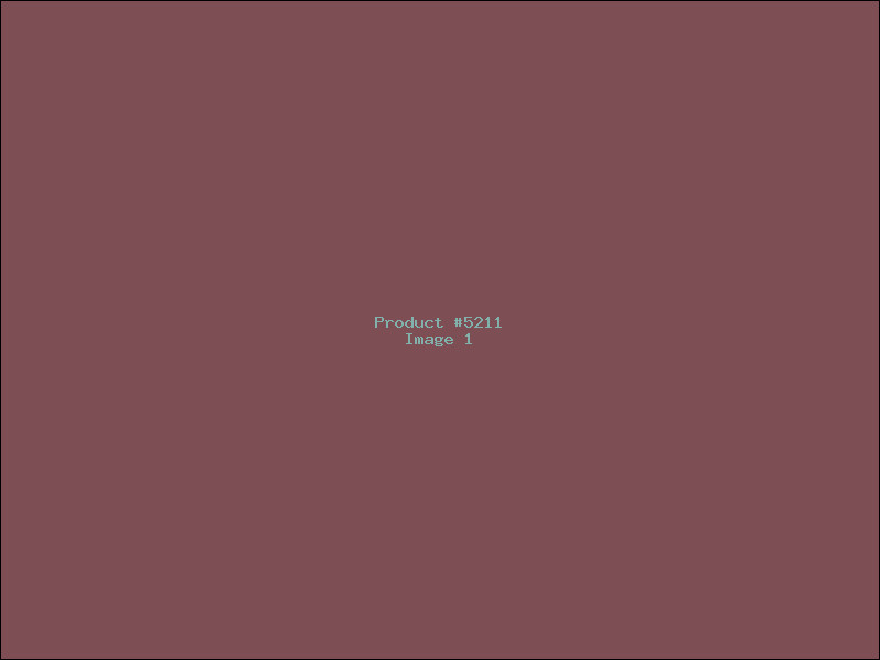 Example Product 5211